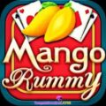 Rummy Mango App Download, Today New Rummy Apk Launch, Get Free Rs 51