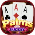 Rummy Palms New Rummy Launch Today – Free Sing Up Bonus Rs 41